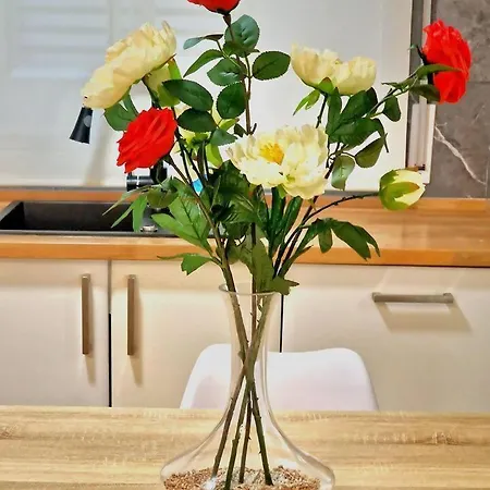 Ave * Comarca de Vigo