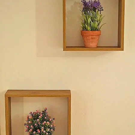 Ave Apartment *